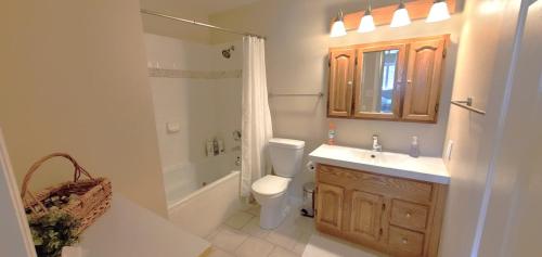 a bathroom with a toilet and a sink and a shower at House & Private Pool, Fast Wifi, Great Location! in Scottsdale