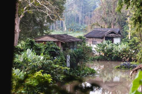 an old house in a forest next to a river at NernJamsai in Sop Poeng