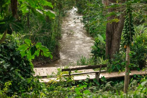 a wooden bench sitting in front of a river at NernJamsai in Sop Poeng