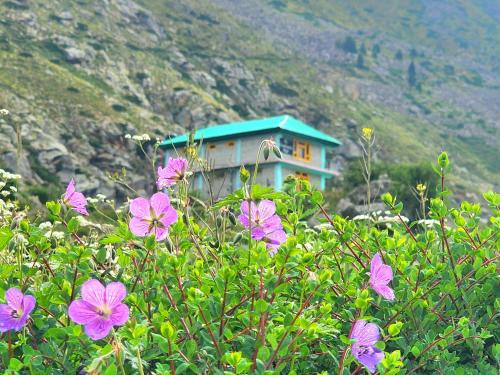 Paisaje cerca de este albergue