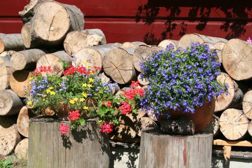 two wooden posts with flowers in front of a pile of logs at Chata Góralska Aggeusz in Wisła