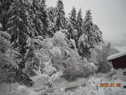 Haus Straninger durante o inverno