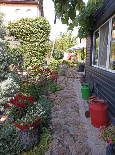 a garden with potted plants and flowers next to a house at Guest House Serena in Chornomorsk