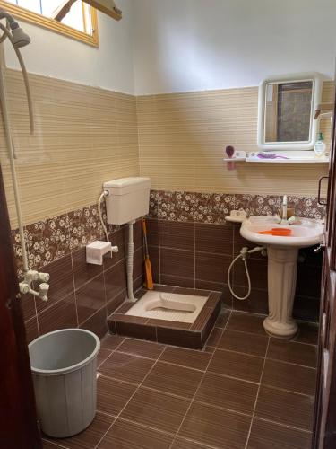 a bathroom with a sink and a toilet and a tub at Mountain Dale Guest House in Gilgit