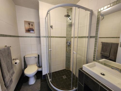 a bathroom with a toilet and a shower and a sink at Beautiful Sea view apartment 45 De Valle Diaz Mosselbay in Mossel Bay
