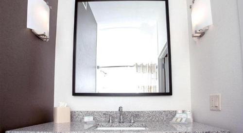 a bathroom with a sink and a mirror at Hilton Garden Inn Oshkosh in Oshkosh