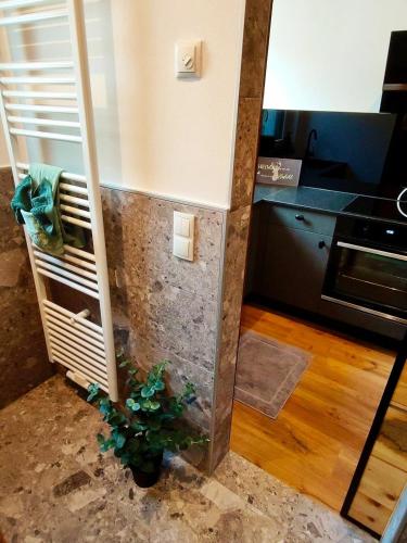 Φωτογραφία από το άλμπουμ του Burgbichl Apartments σε Rothenthurn