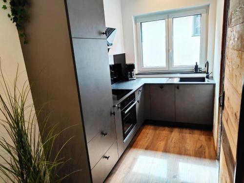 Η κουζίνα ή μικρή κουζίνα στο Burgbichl Apartments