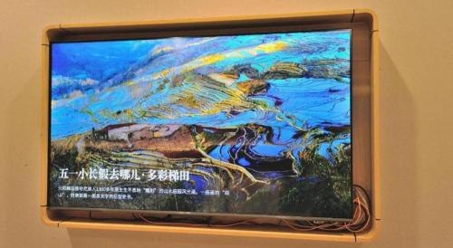 a television with a painting on the side of it at GreenTree Inn Suzhou Shihu Suli Road Express Hotel in Suzhou