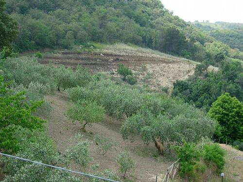 ピアーナ・デッリ・アルバネージにあるAgriturismo Al Poggettoのギャラリーの写真