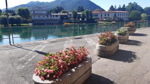 a row of flowers in pots next to a body of water at Villa Paradis B&B in Airuno