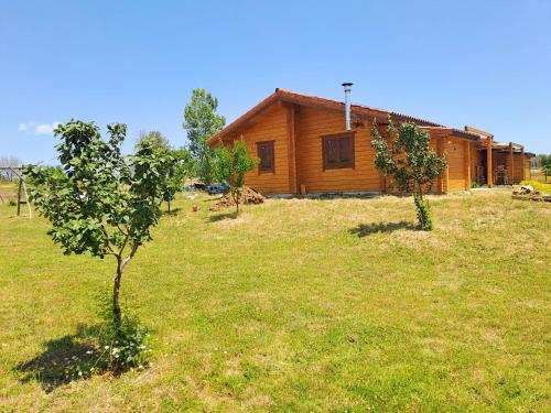 Κήπος έξω από το Timber Dream
