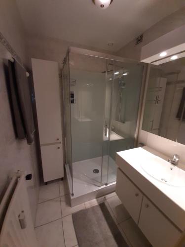 a bathroom with a shower and a sink at Mazzimmo Boom in Boom