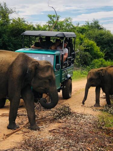 a group of people riding in a green vehicle with elephants at City View Safari Resort in Udawalawe