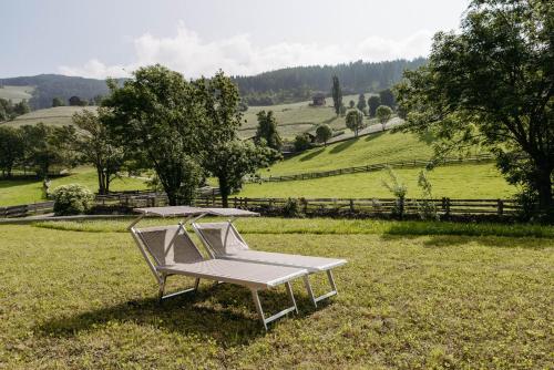 a bench sitting in the grass in a field at Baumannhof in Sarntal