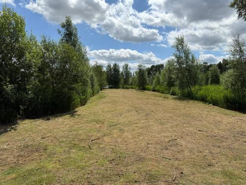 an open field with trees on the side of it at Andreas Fir Trees Retreat at 7 Lakes Country Park in Crowle