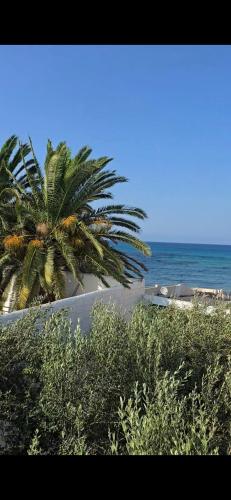 Maya House - Villa Cap Zbib