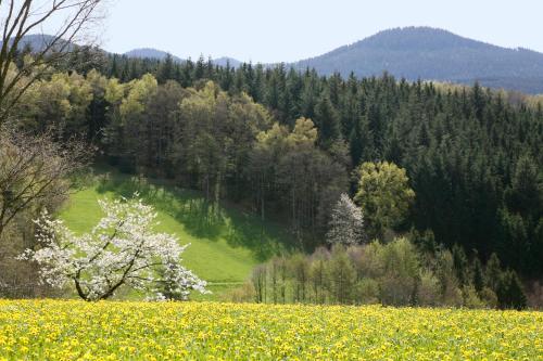 Příroda nedaleko apartmánu