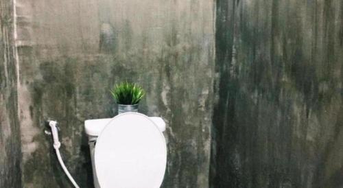 a toilet with a plant on the top of it at Rim Kaeng resort in Phetchaburi