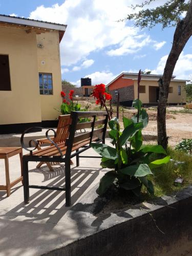 a bench sitting next to a plant with red flowers at Nthike Eco Cottages & Campsite in Kangundo