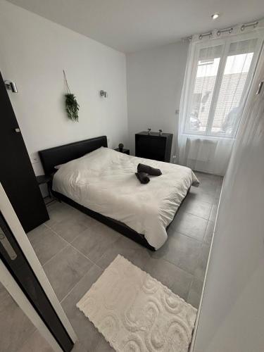 Charmant T4 avec jardin, proche jardin des plantes