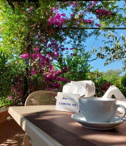 Gallery image of Arena Vacanze in Castellabate