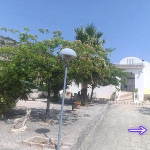 a street light next to a palm tree and a building at Villa Antonella in Monte SantʼAngelo