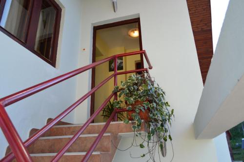 Fotografie z fotogalerie ubytování Apartmani Božana Vojinović v destinaci Žabljak