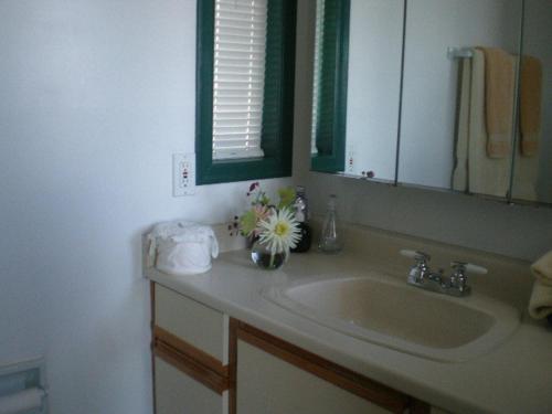 un lavabo con un jarrón de flores. en Island View B&B en Nanaimo