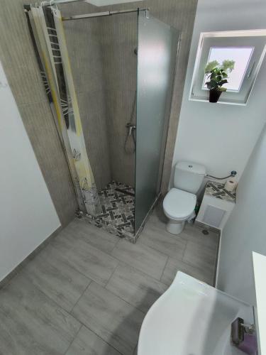 a small bathroom with a shower and a toilet at Casa AnaMaria in Eforie Sud
