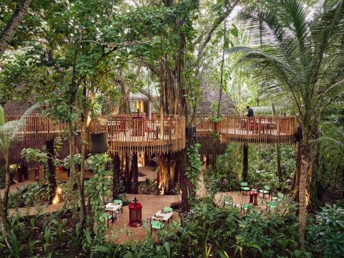 a tree house in the middle of a forest at Niyama Private Islands Maldives in Dhaalu Atoll