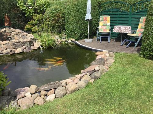 a pond in a yard with two chairs and an umbrella at Ferienwohnung an der Müritz 1 Groß in Bollewick