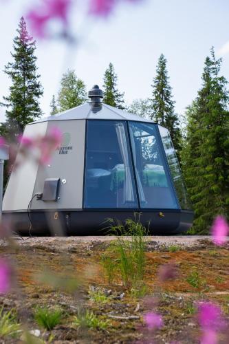 a train car parked in a field with flowers at Nova Galaxy Village in Rovaniemi