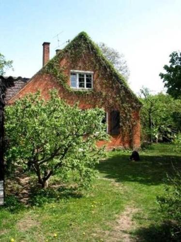 Zahrada ubytování Haus Prälank