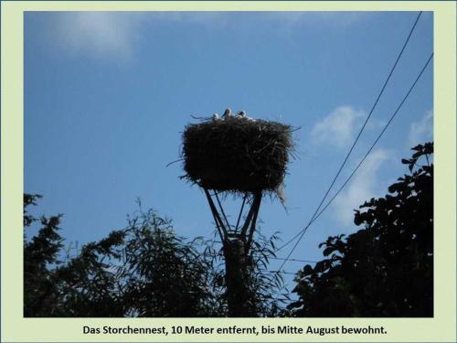 a nest on top of a utility pole at Grüne Idylle in Borrentin
