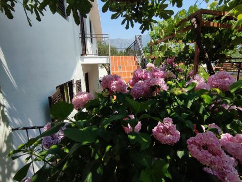 a bunch of purple flowers in front of a building at Holiday house in the Kotor Bay in Kotor