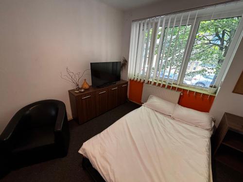 a bedroom with a bed and a tv and window at ZLM Ultra Central Room in Târgu-Mureş