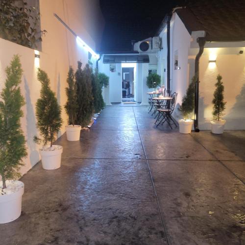 a hallway with potted plants on the side of a building at Jovanovic Residence Belgrad in Belgrade