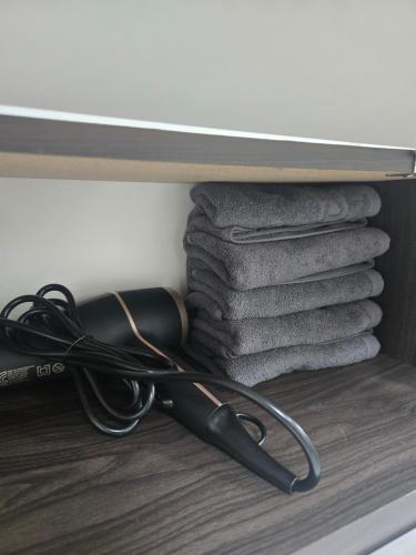 ソウルにあるA spacious two-room accommodation near Gangnam, where dogs are allowedのギャラリーの写真