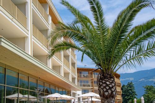 a palm tree in front of a hotel at Hotel Nocturnes in Naturno