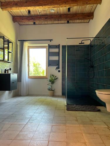 a bathroom with a shower and a toilet and a sink at Rogaty Dworek in Kornatka