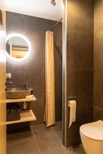 a bathroom with a toilet and a sink and a mirror at Chalet Les Louettes à Sapinhaut Canton du Valais in Saxon