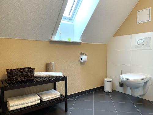 a bathroom with a toilet and a skylight at Hof Hanau in Dörgenhausen