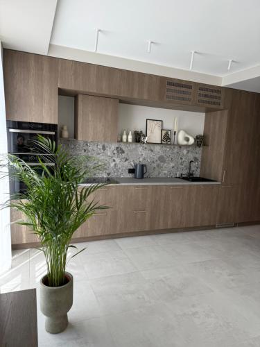 a kitchen with a potted plant in a room at Moonlight Apartment - Parko rezidencija SELF CHECK IN in Panevėžys