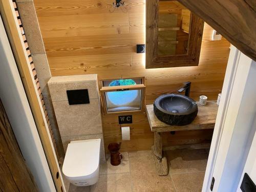 mit Blick auf ein Bad mit Waschbecken und WC in der Unterkunft Les Fermes de Céline à Barcelonnette in Enchastrayes
