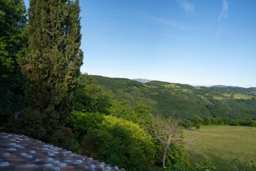 a view of a lush green field and trees at Agriturismo Casa del Vento in San Presto