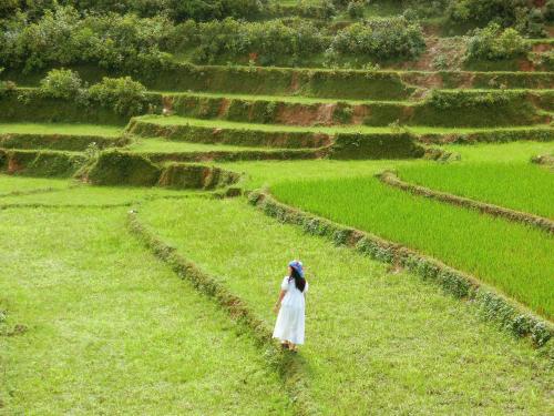 Galeriebild der Unterkunft Lagom Bắc Hà Farmstay in Lào Cai