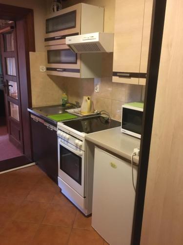 a small kitchen with a stove and a sink at Willa Sara in Okuninka
