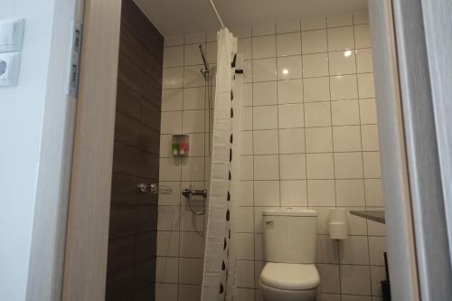 a bathroom with a toilet and a shower at Hotel Rene in Skiathos Town