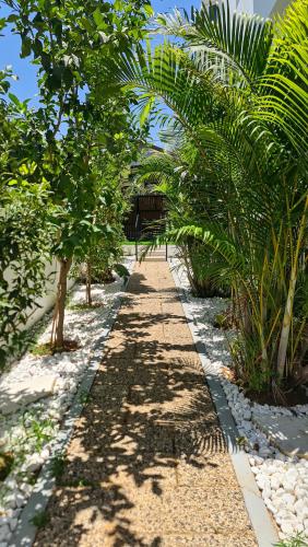 a path through a bunch of palm trees on a beach at Villa Ono at Bar Ilan University and Sheba Hospital in Qiryat Ono